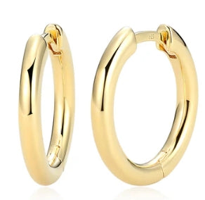 Sterling Silver Earrings