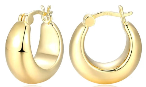 Silver Earring