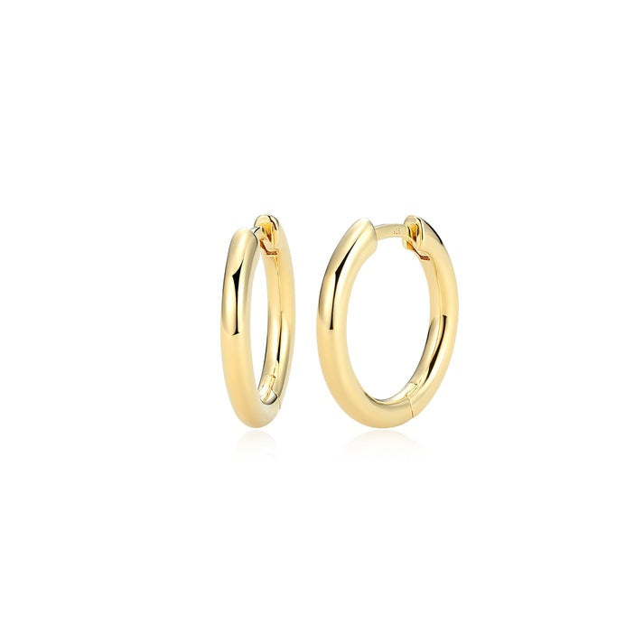Sterling Silver Earrings
