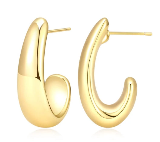 Sterling Silver Earrings