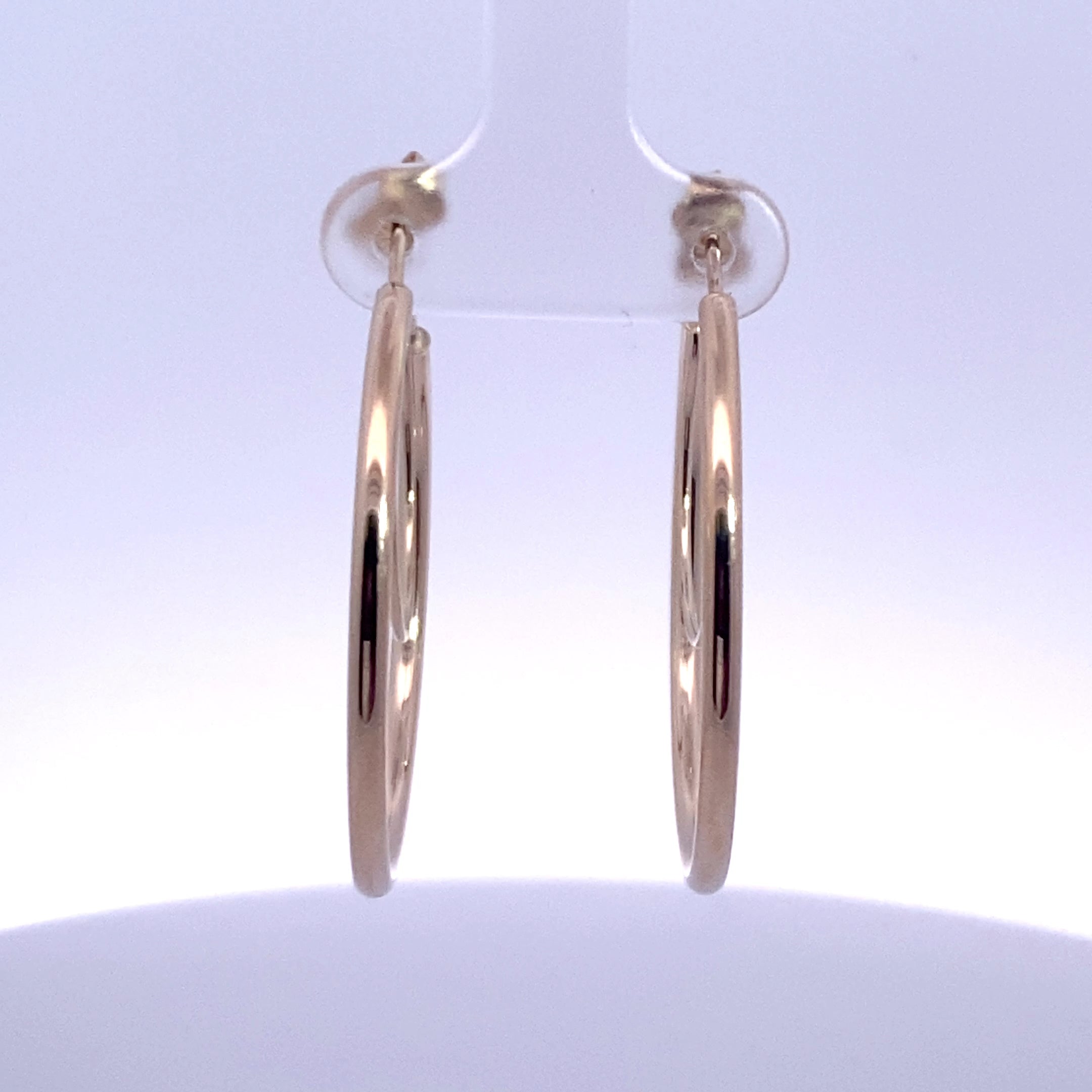 Gold/Platinum Earring