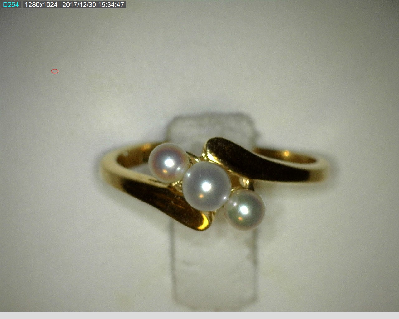 10kt yg 4mm 2-3mm  pearl ring
