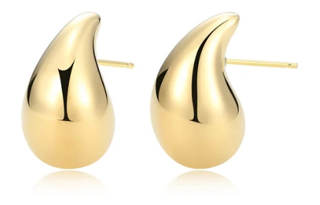 Sterling Silver Earrings