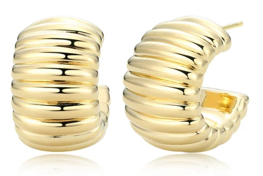 Sterling Silver Earrings