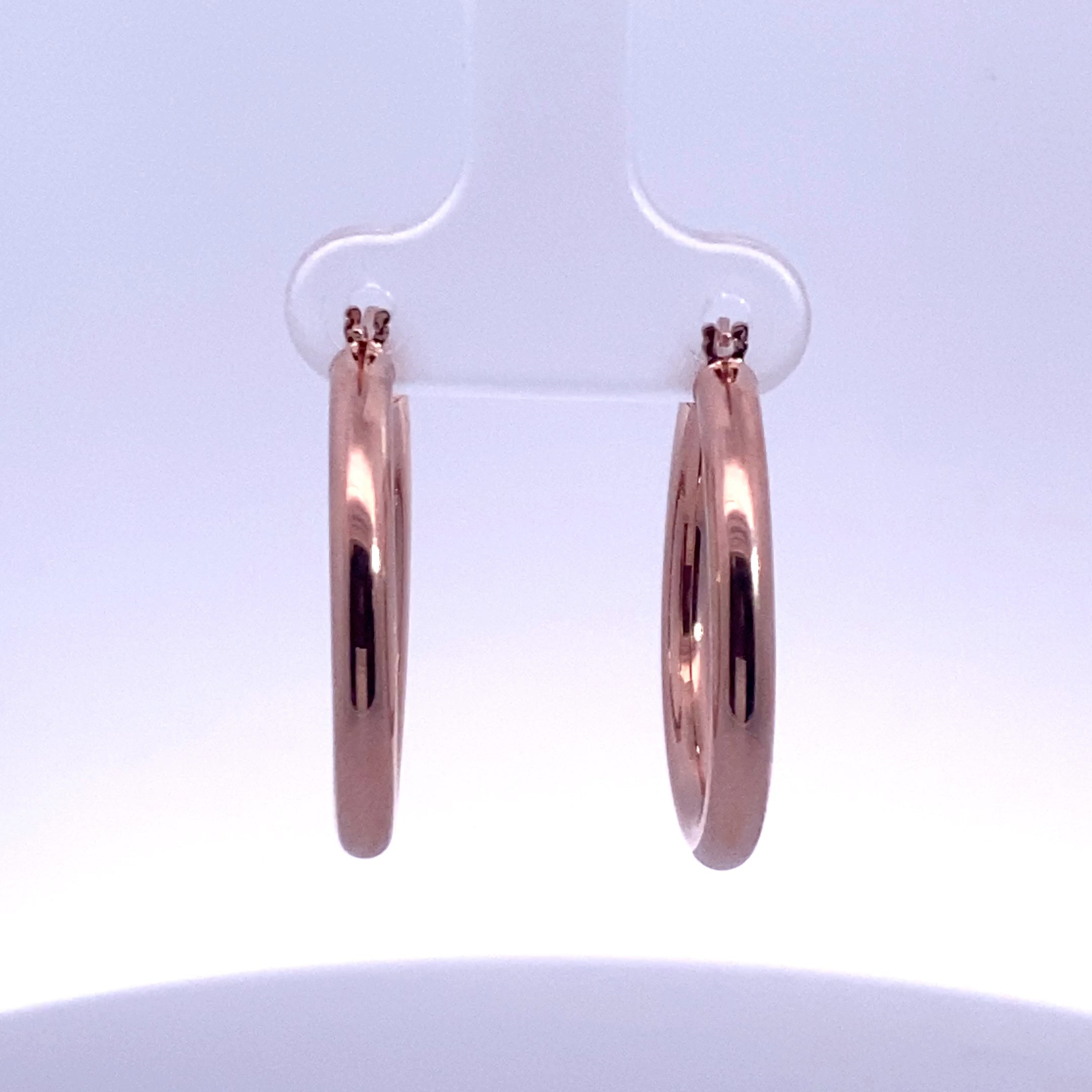 Gold/Platinum Earring
