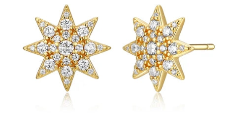 Silver Earring