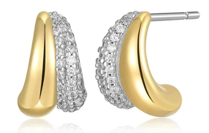Silver Earring