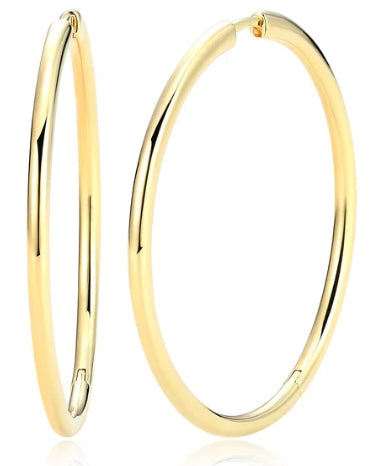 Sterling Silver Earrings