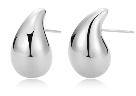 Sterling Silver Earrings