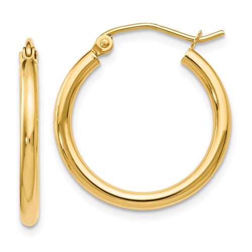 Gold/Platinum Earring