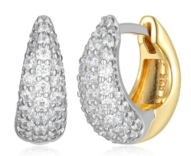 Silver Earring