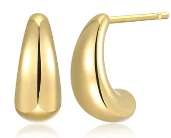 Sterling Silver Earrings