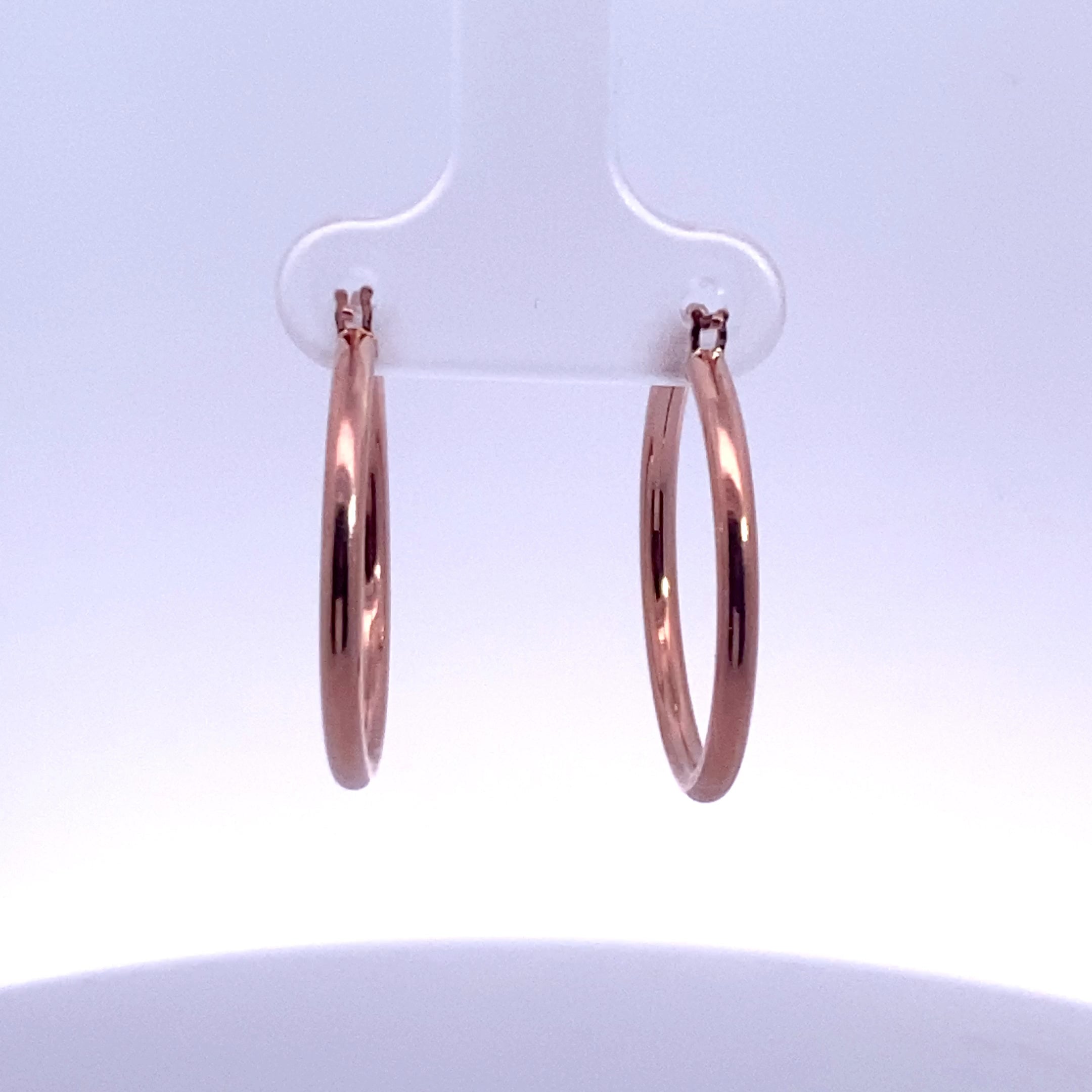 Gold/Platinum Earring