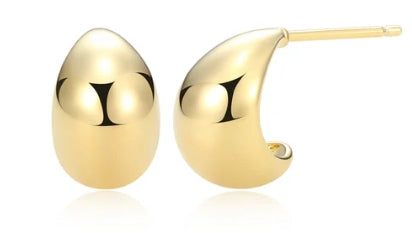 Sterling Silver Earrings